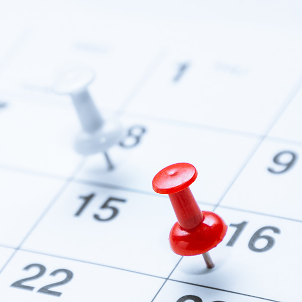 Pins on a calendar